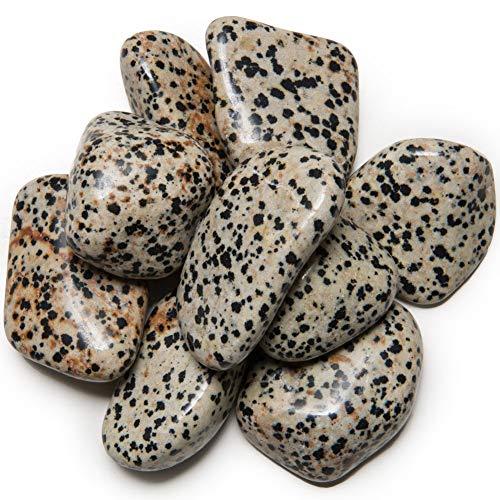 Digging Dolls: 1 lb of Extra Large Dalmatian Jasper A Grade Stones from Brazil - Tumbled Rocks Perfect for Art, Crafts, Reiki, Wicca and Wire Wrapping!