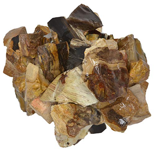 Digging Dolls: 1 lb of Picture Jasper Rough Stones from India - Raw Rocks Perfect for Tumbling, Lapidary Polishing, Reiki, Crystal Healing and Crafts!