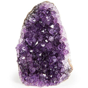 Digging Dolls Specimens: Exceptional Amethyst Geodes from Uruguay - 0.5 lb to 1 lb - B Grade - Amethyst Stone Rock Specimen for Arts, Crafts, Home Décor, Reiki and Crystal Healing