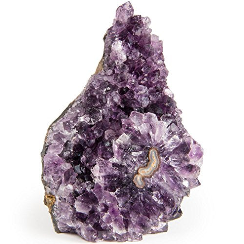 Digging Dolls Specimens: Exceptional Amethyst Geodes from Uruguay - 5 lbs to 6 lbs - B Grade - Amethyst Stone Rock Specimen for Arts, Crafts, Home Décor, Reiki and Crystal Healing