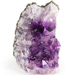 Digging Dolls Specimens: Exceptional Amethyst Geodes from Uruguay - 2 lbs to 3 lbs - B Grade - Amethyst Stone Rock Specimen for Arts, Crafts, Home Décor, Reiki and Crystal Healing