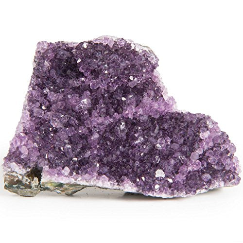 Digging Dolls Specimens: Exceptional Amethyst Geodes from Uruguay - 0.5 lb to 1 lb - B Grade - Amethyst Stone Rock Specimen for Arts, Crafts, Home Décor, Reiki and Crystal Healing