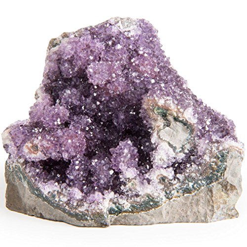 Digging Dolls Specimens: Exceptional Amethyst Geodes from Uruguay - 1.5 lb to 2 lbs - B Grade - Amethyst Stone Rock Specimen for Arts, Crafts, Home Décor, Reiki and Crystal Healing