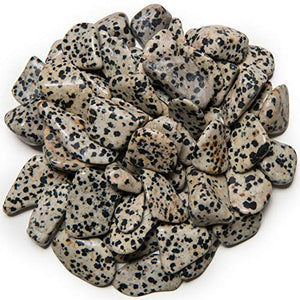 Digging Dolls: 2 lbs of Small Dalmatian Jasper A Grade Stones from Brazil - Tumbled Rocks Perfect for Art, Crafts, Reiki, Wicca and Wire Wrapping!