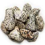 Digging Dolls: 2 lbs of Large Dalmatian Jasper A Grade Stones from Brazil - Tumbled Rocks Perfect for Art, Crafts, Reiki, Wicca and Wire Wrapping!