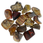 Tumbled Petrified Wood Stones from Madagascar 